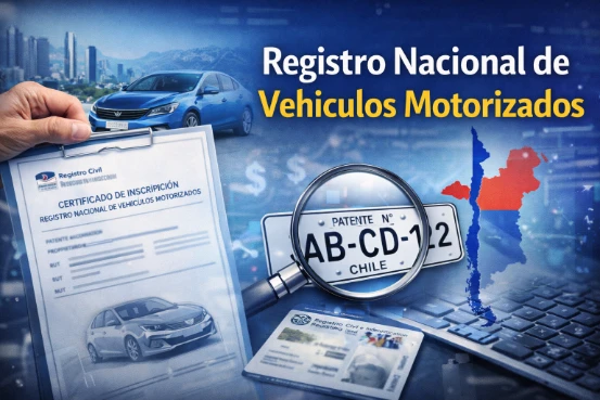 Buscar Patente por RUT 