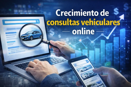 Buscar Patente por RUT 